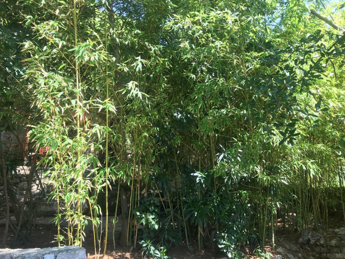 Apartment Sunshine 木洛希尼 外观 照片